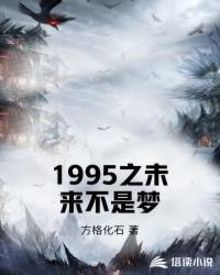 1995之未来不是梦